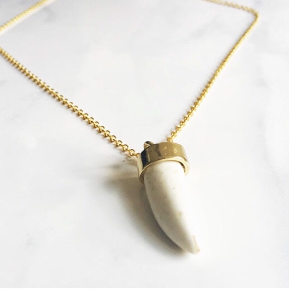 ✨Turquoise Horn Necklace✨ - Picture 2 of 2